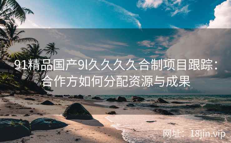 91精品国产9l久久久久合制项目跟踪：合作方如何分配资源与成果