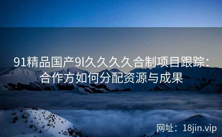 91精品国产9l久久久久合制项目跟踪：合作方如何分配资源与成果