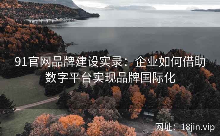 91官网品牌建设实录：企业如何借助数字平台实现品牌国际化